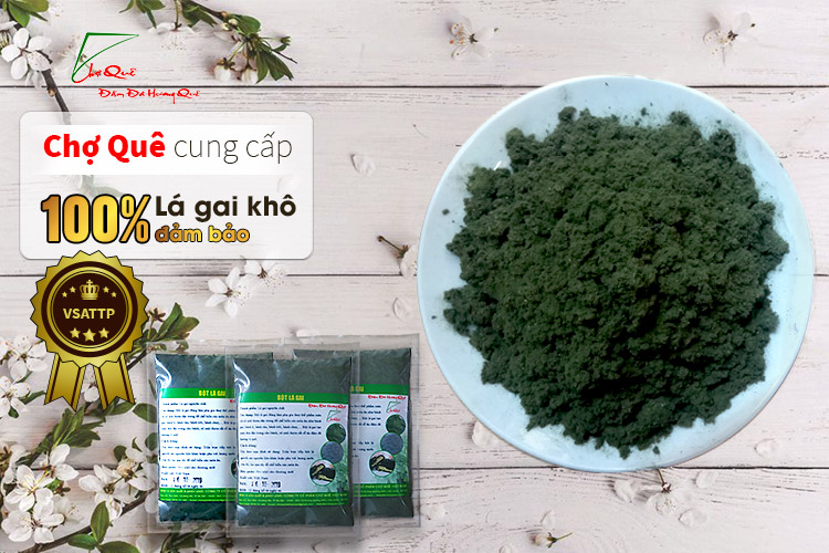 Bột lá gai khô nguyên chất